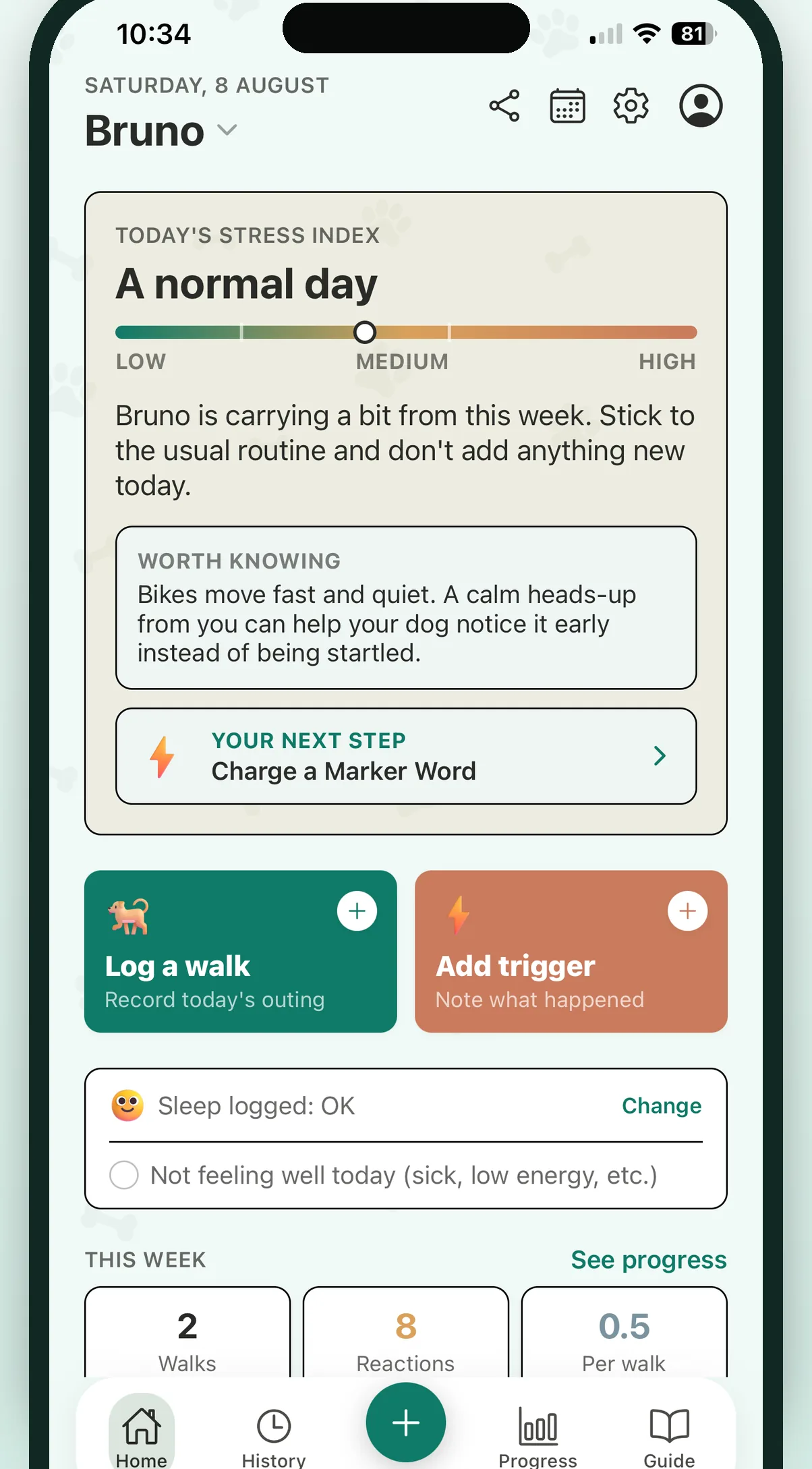 The CalmDogs home screen, showing a short daily read about how much the day can realistically hold.